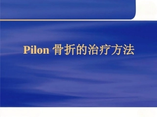 Pilon骨折的治疗(2)