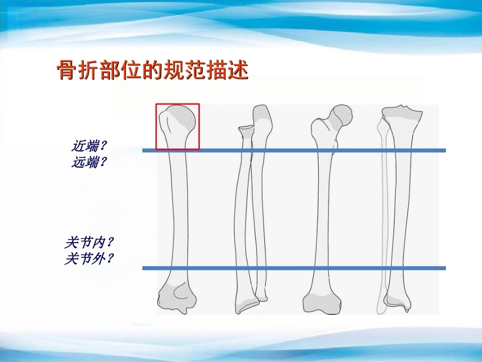 创伤骨科X线片阅片技巧及易漏诊病例讨论(2)_第11页