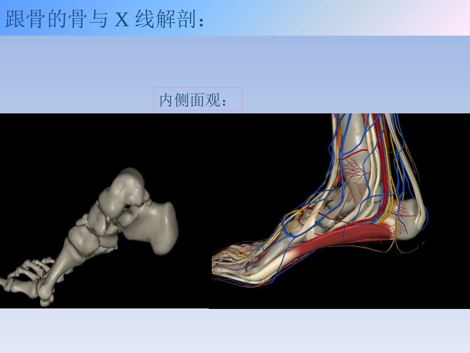 跟骨骨折的治疗(2)_第6页