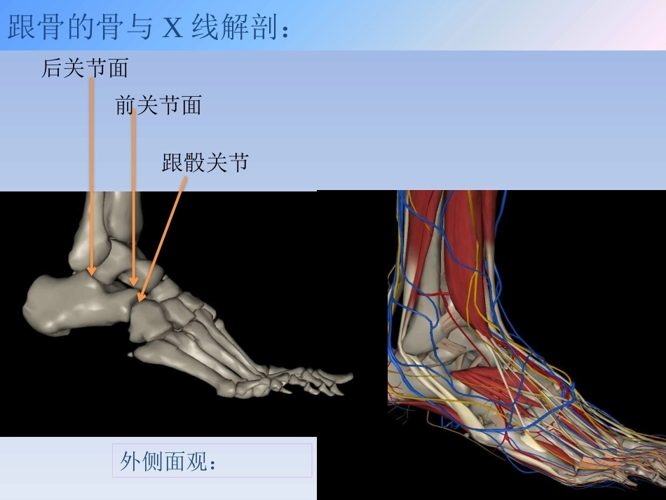 跟骨骨折的治疗(2)_第8页