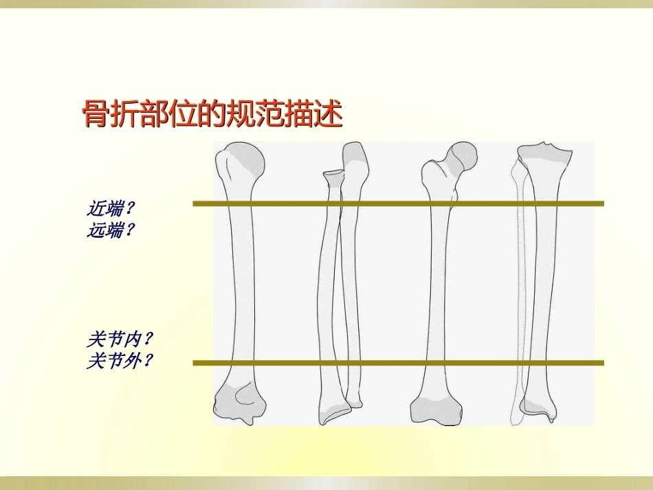 骨科读片基础(2)_第9页