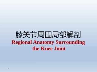 长海膝关节周围解剖(2)