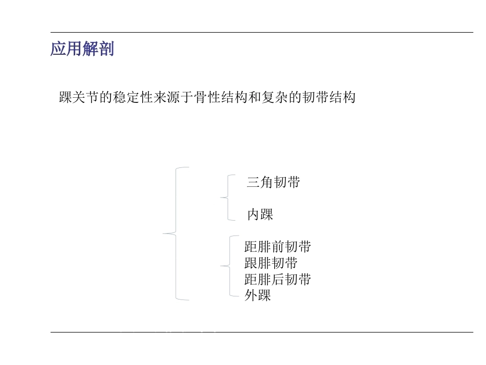 踝关节骨折(2)_第2页