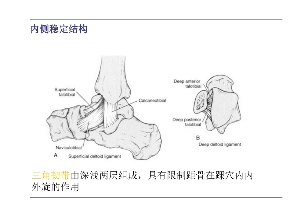 踝关节骨折(2)_第3页