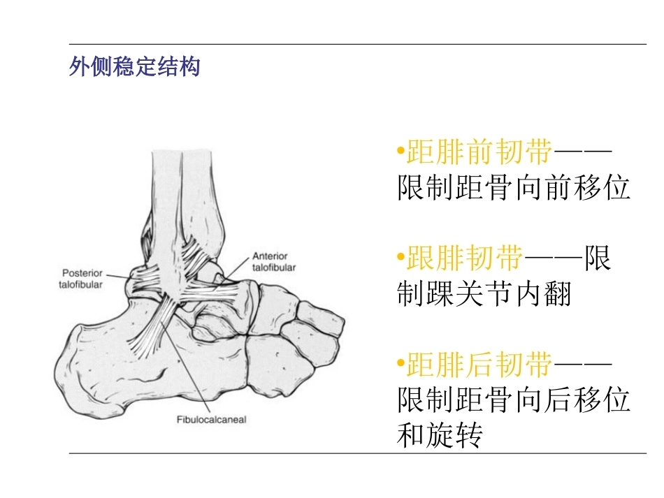 踝关节骨折(2)_第4页