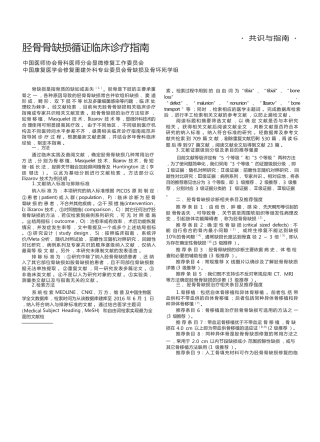 胫骨骨缺损循证临床诊疗指南(3)