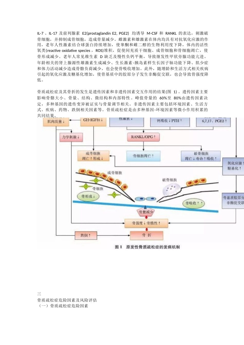原发性骨质疏松症最新诊疗指南(20)_第3页