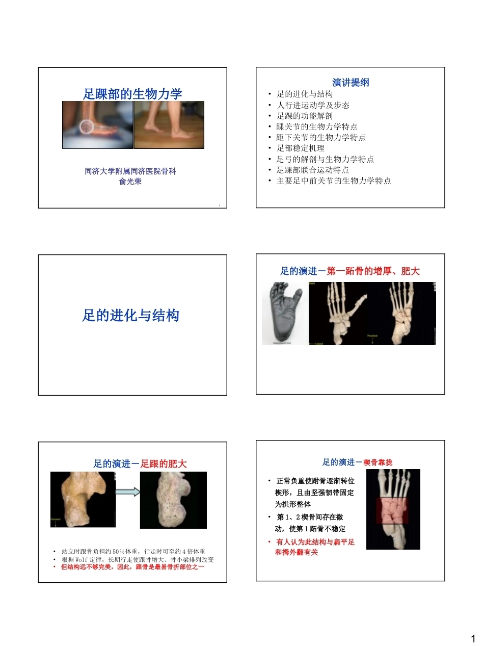 足踝生物力学(26)_第1页