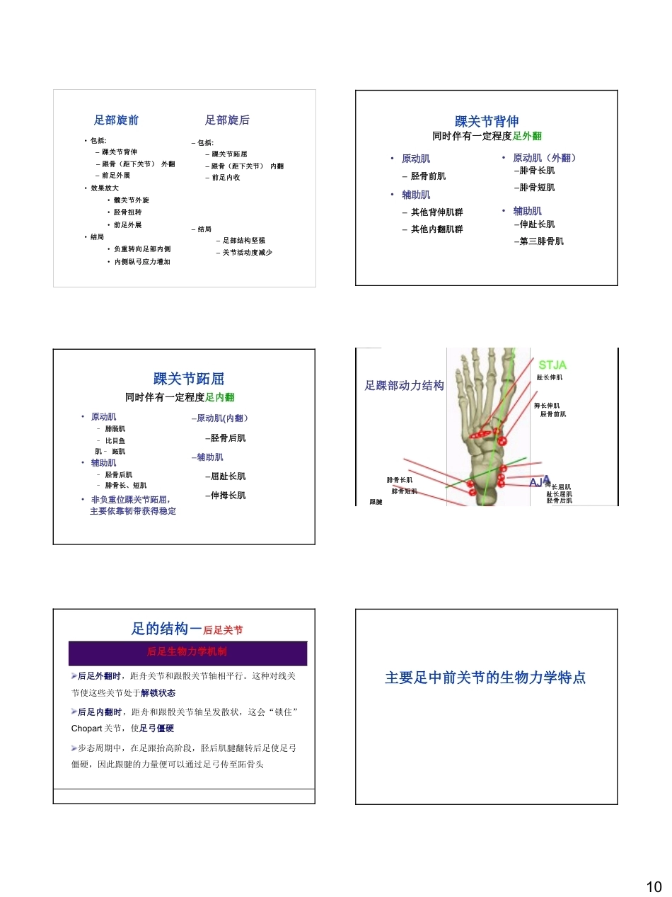 足踝生物力学(26)_第10页