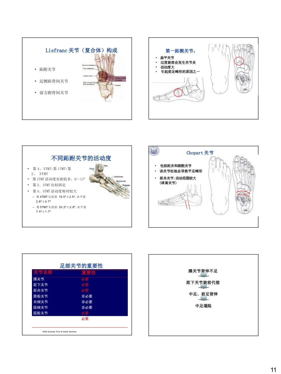足踝生物力学(26)_第11页