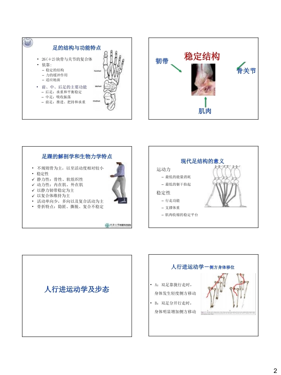 足踝生物力学(26)_第2页