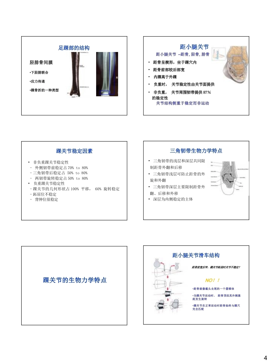 足踝生物力学(26)_第4页