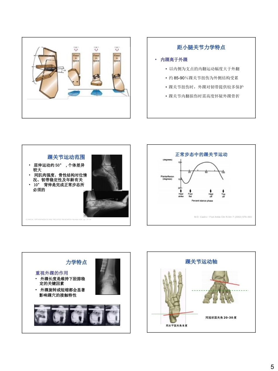 足踝生物力学(26)_第5页