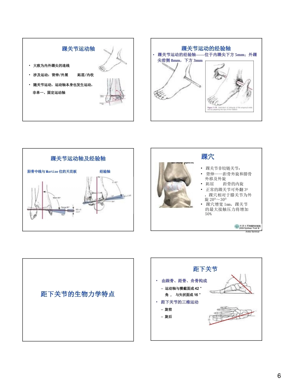 足踝生物力学(26)_第6页