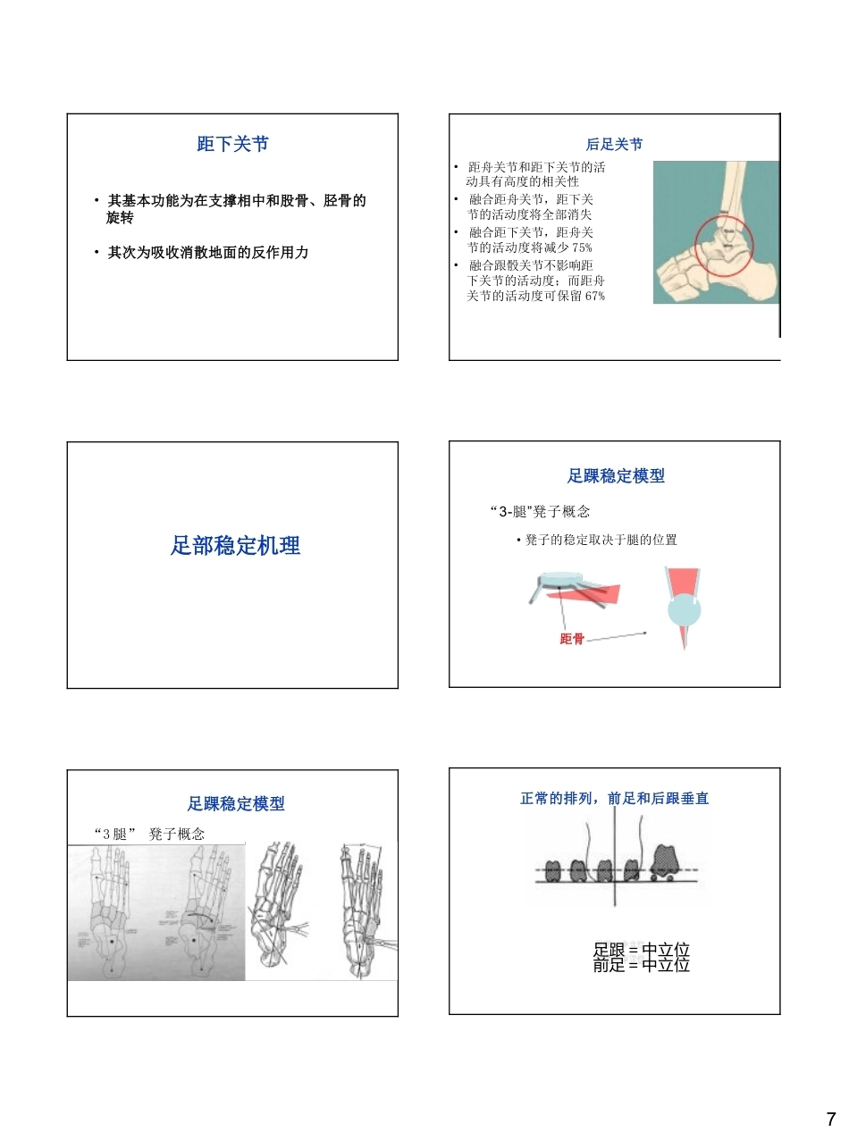 足踝生物力学(26)_第7页
