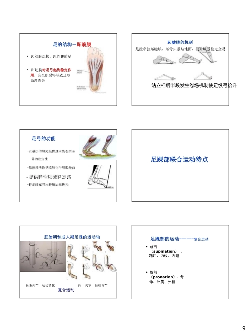 足踝生物力学(26)_第9页