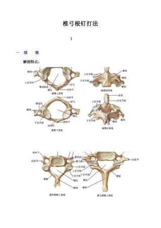 最全面的椎弓根钉打法(27)