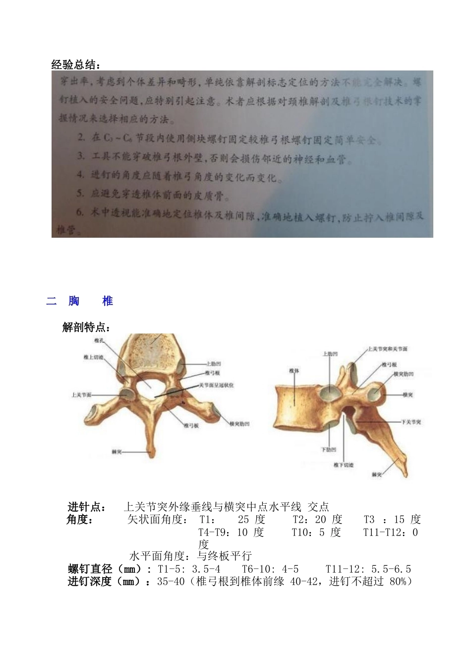 最全面的椎弓根钉打法(27)_第3页