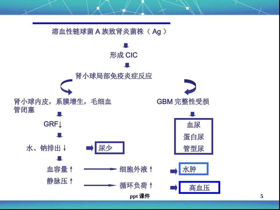儿科急性肾小球肾炎ppt课件_第5页