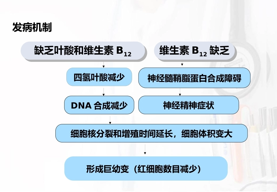 儿科护理造血系统疾病护理巨幼细胞性贫血_第4页