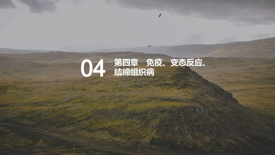 儿科疾病诊断流程与治疗策略_第10页