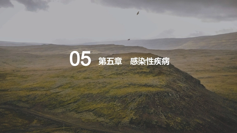 儿科疾病诊断流程与治疗策略_第13页