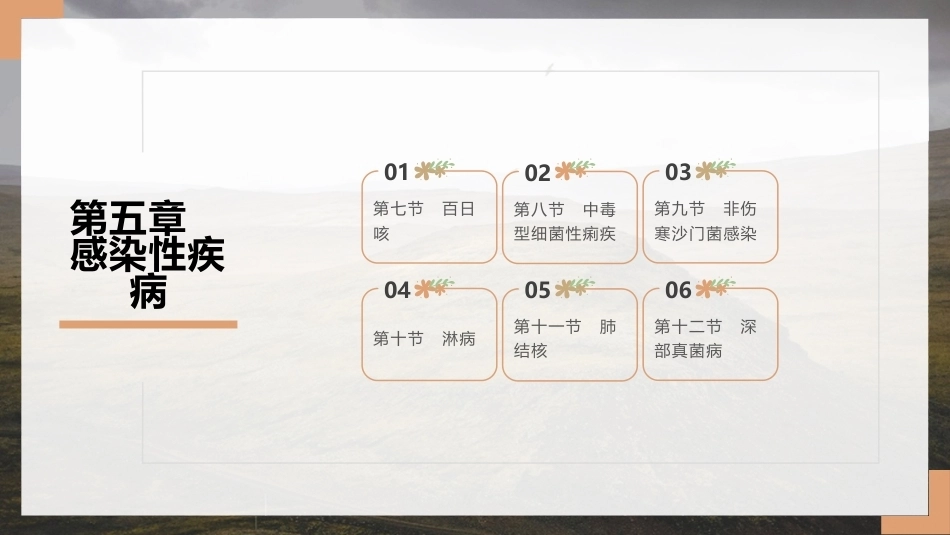 儿科疾病诊断流程与治疗策略_第15页