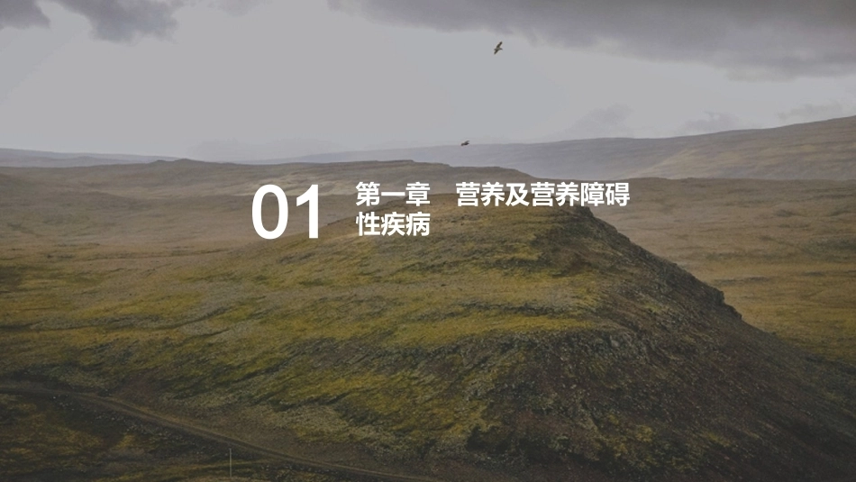 儿科疾病诊断流程与治疗策略_第2页