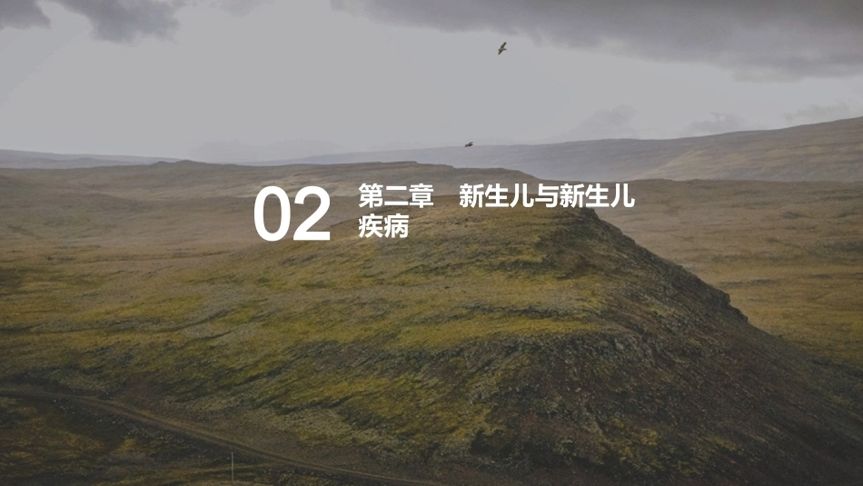 儿科疾病诊断流程与治疗策略_第4页