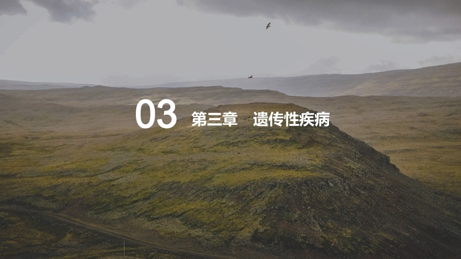 儿科疾病诊断流程与治疗策略_第8页