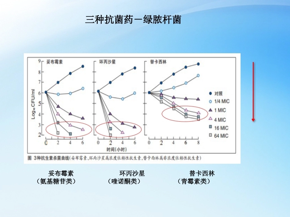 儿科抗菌药物PKPD理论与应用_第13页