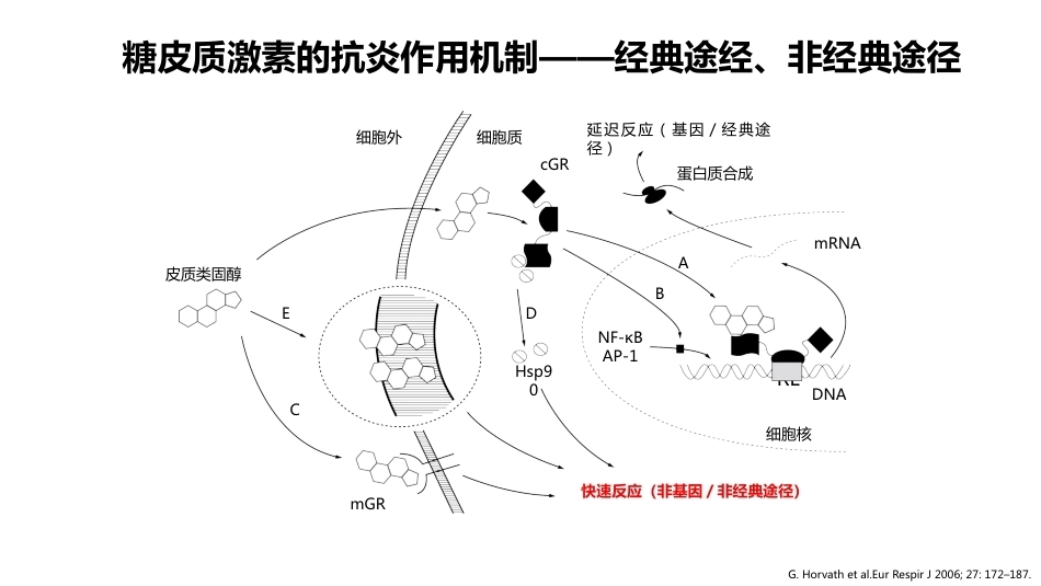 儿科讲者幻灯-ICS联合SABA治疗儿童哮喘急性发作(急性期)_第12页