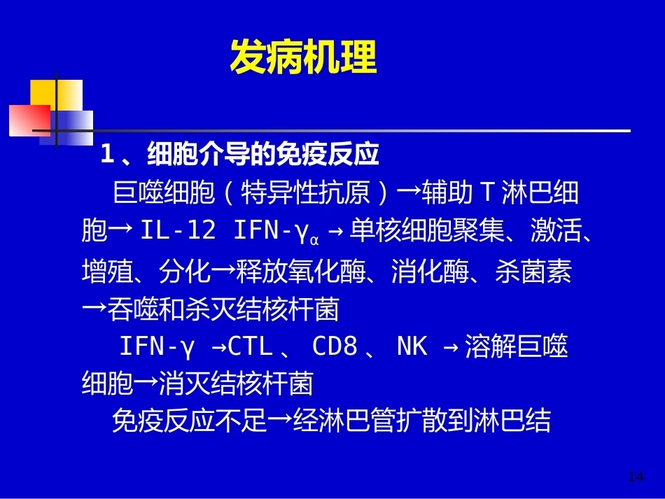 儿科教学课件结核病总论_第14页