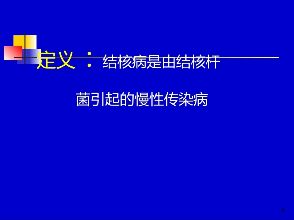 儿科教学课件结核病总论_第4页