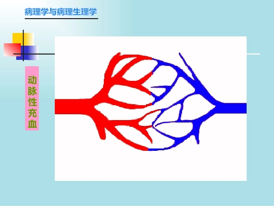 局部血液循环障碍病理学_第3页