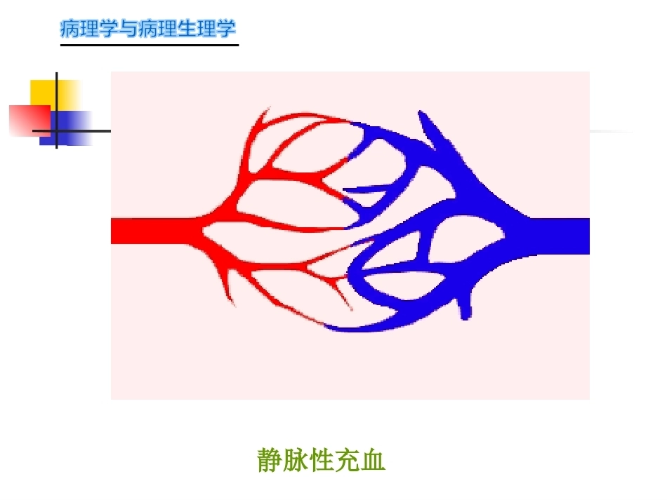 局部血液循环障碍病理学_第7页