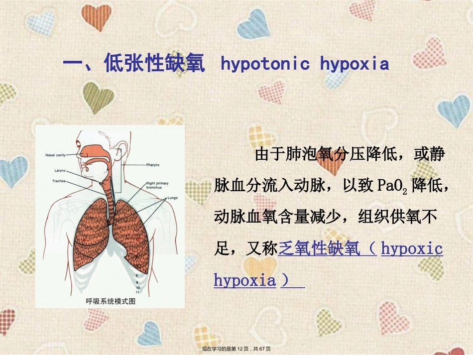 临床医学病理学缺氧_第12页