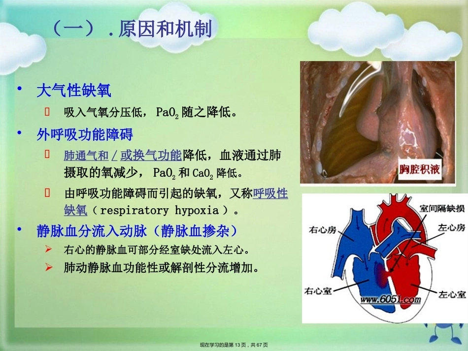 临床医学病理学缺氧_第13页