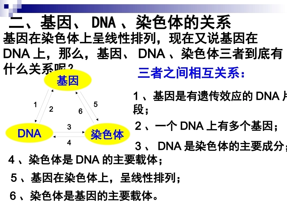 基因是有遗传效应的DNA片段(好)概述_第14页