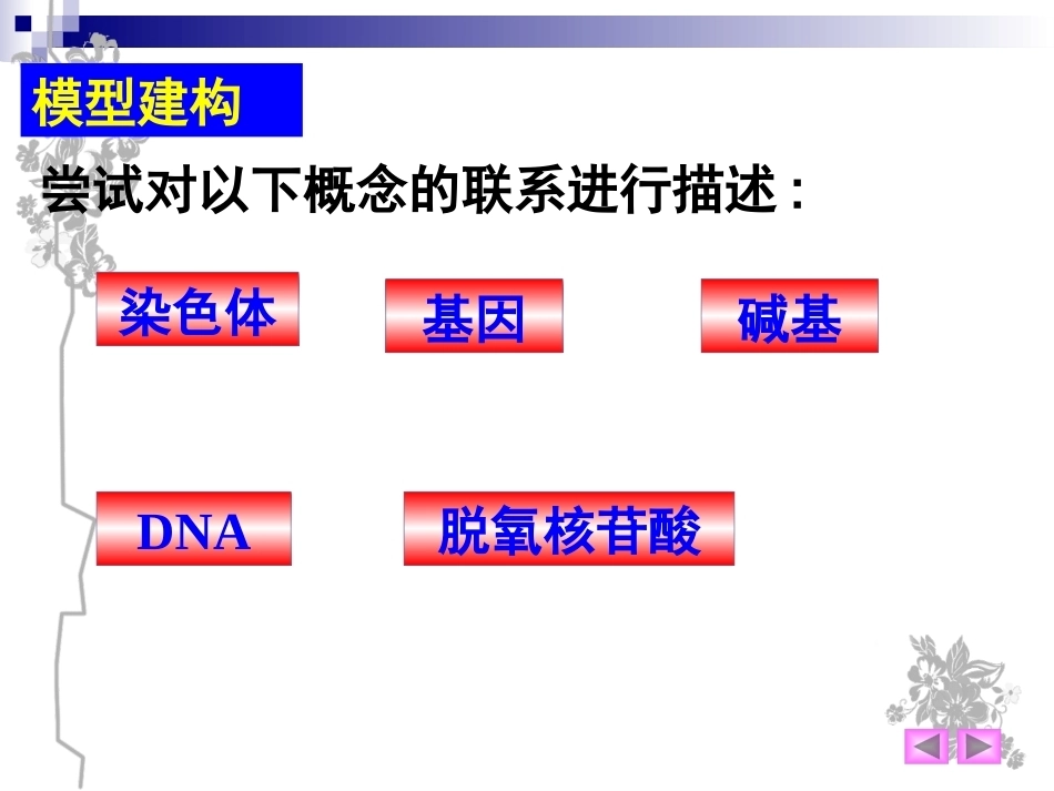 基因是有遗传效应的DNA片段(好)概述_第15页