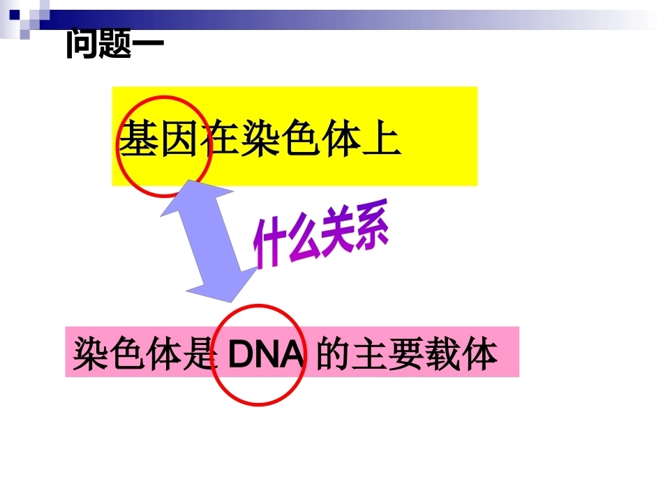 基因是有遗传效应的DNA片段(好)概述_第3页