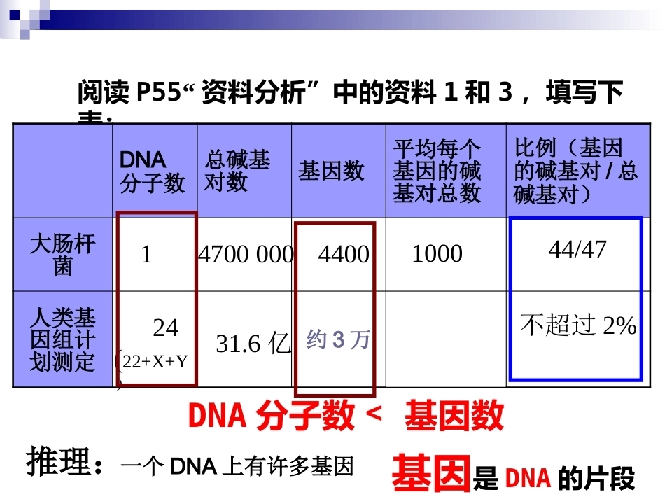 基因是有遗传效应的DNA片段(好)概述_第5页