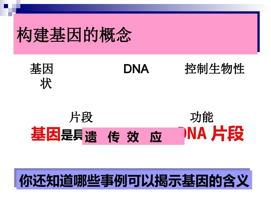 基因是有遗传效应的DNA片段(好)概述_第9页