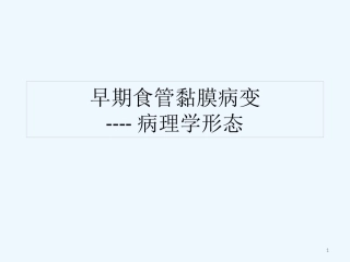 早期食管黏膜病变病理学形态