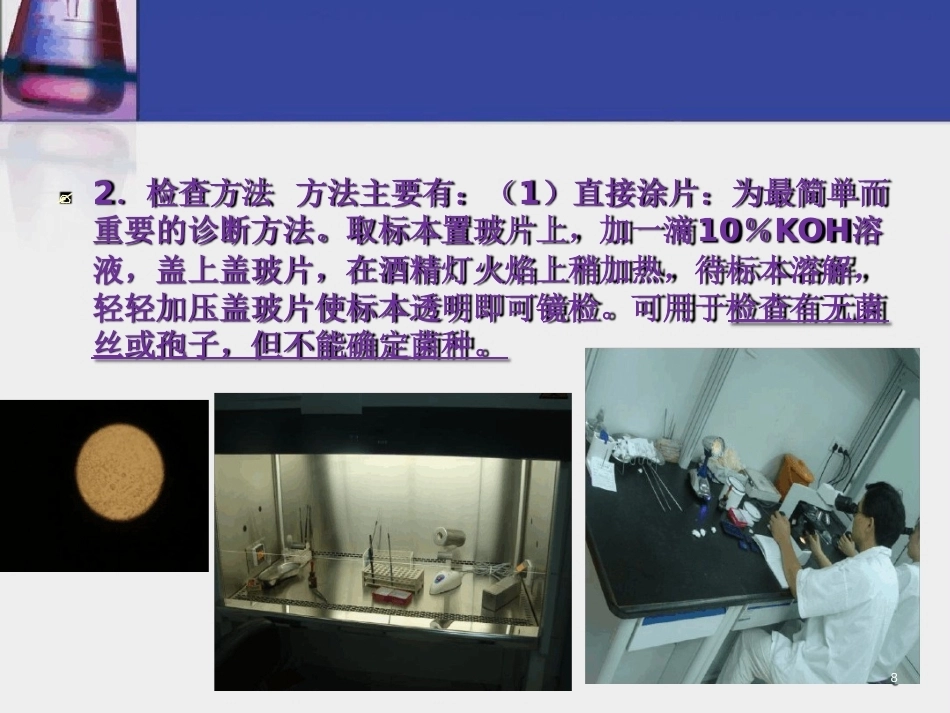 皮肤组织病理学常用试验诊断技术_第8页
