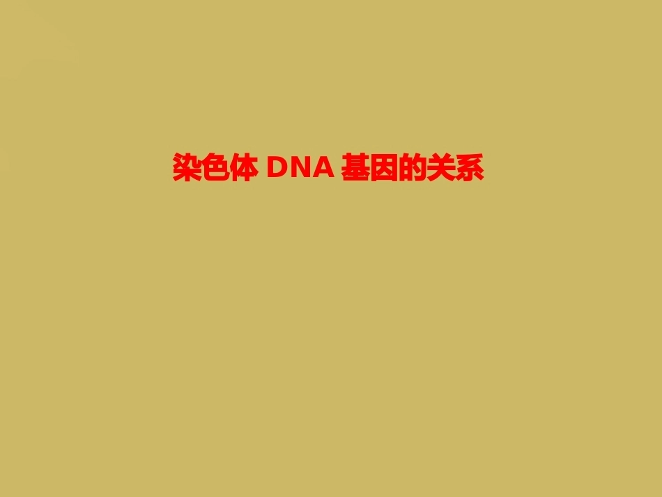 染色体DNA基因的关系_第1页
