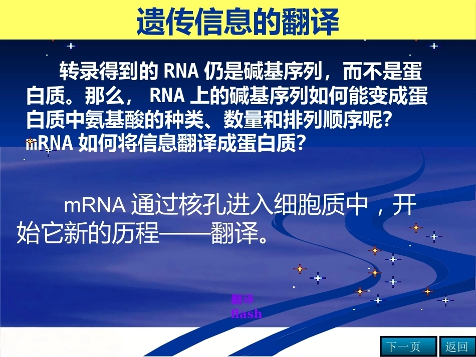 染色体DNA基因的关系_第13页