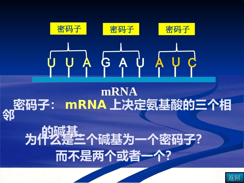 染色体DNA基因的关系_第8页