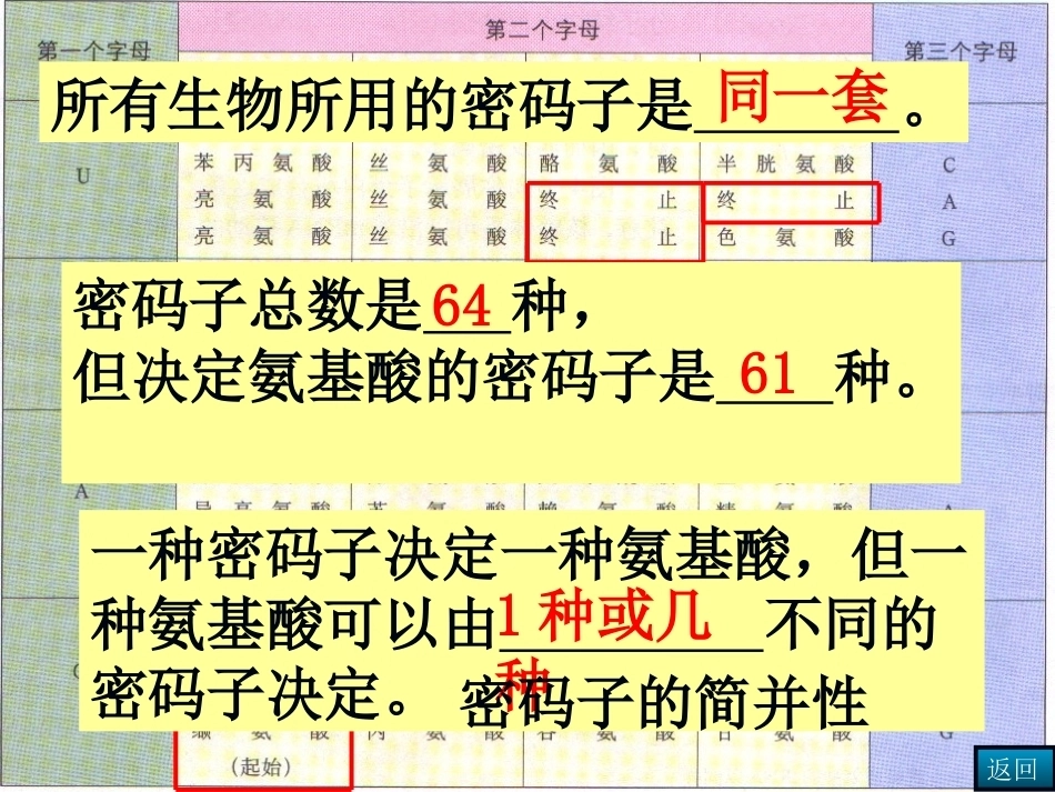 染色体DNA基因的关系_第9页