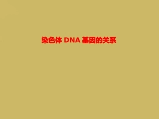 染色体DNA基因的关系